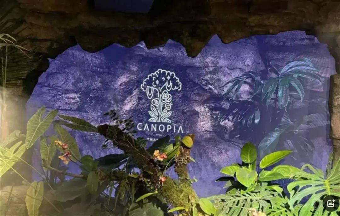 人均3888元！用大象糞便做甜品，一餐廳被立案調查