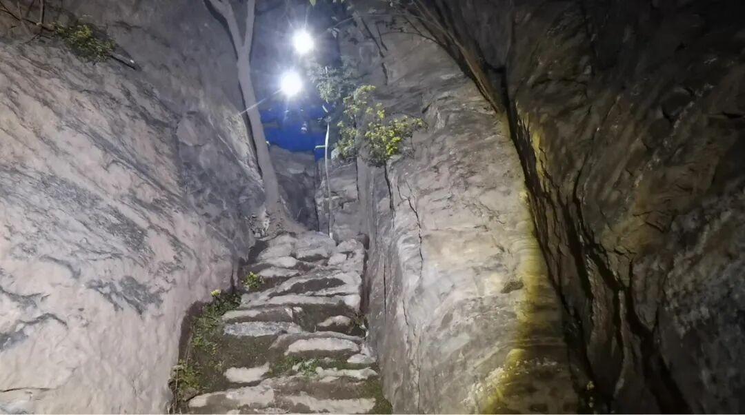 6人走“逃票線路”，被困遇險！