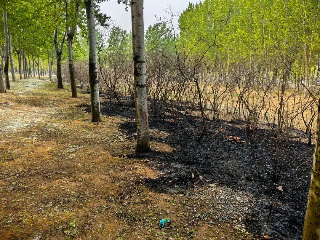 在北京“頂風”動火？拘！還不止一起……