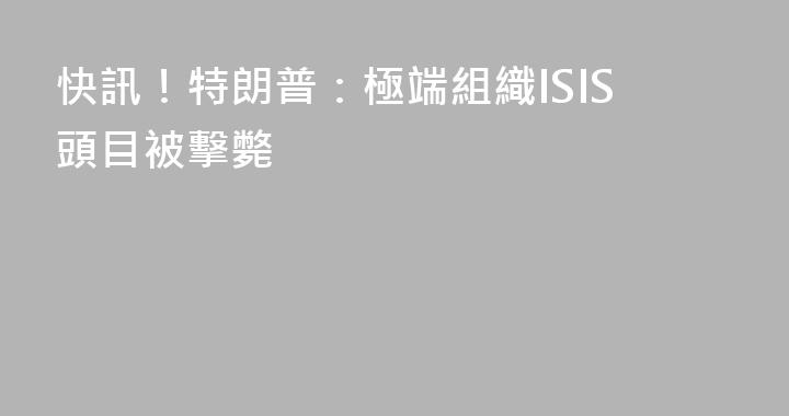 快訊！特朗普：極端組織ISIS頭目被擊斃