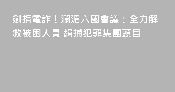 劍指電詐！瀾湄六國會議：全力解救被困人員 緝捕犯罪集團頭目