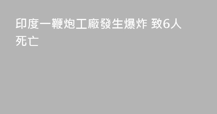 印度一鞭炮工廠發生爆炸 致6人死亡