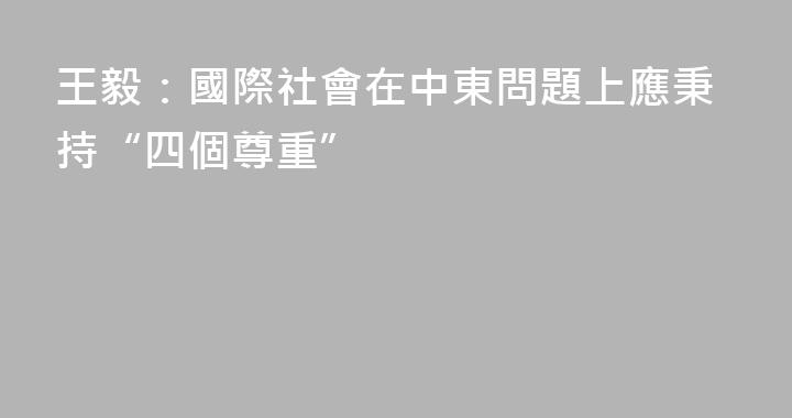 王毅：國際社會在中東問題上應秉持“四個尊重”