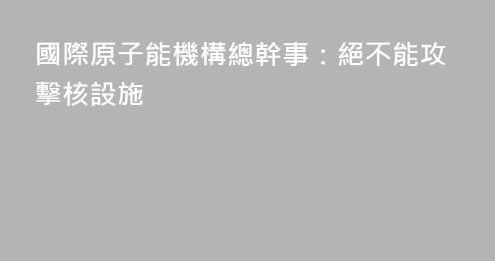 國際原子能機構總幹事：絕不能攻擊核設施