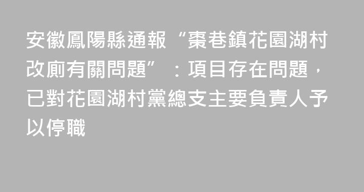 安徽鳳陽縣通報“棗巷鎮花園湖村改廁有關問題”：項目存在問題，已對花園湖村黨總支主要負責人予以停職