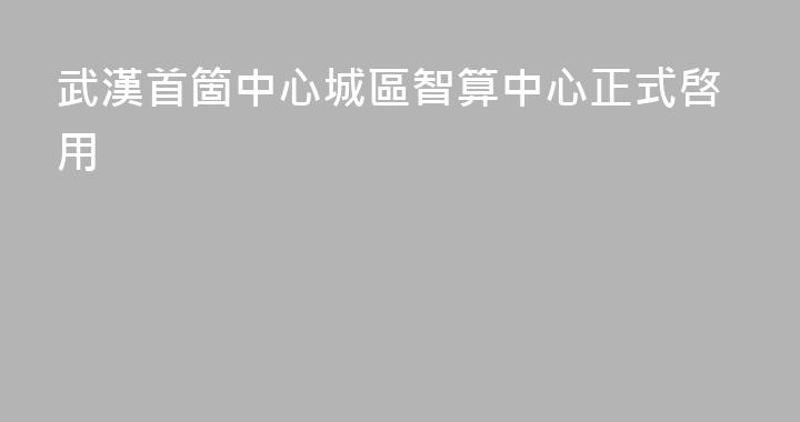 武漢首箇中心城區智算中心正式啓用