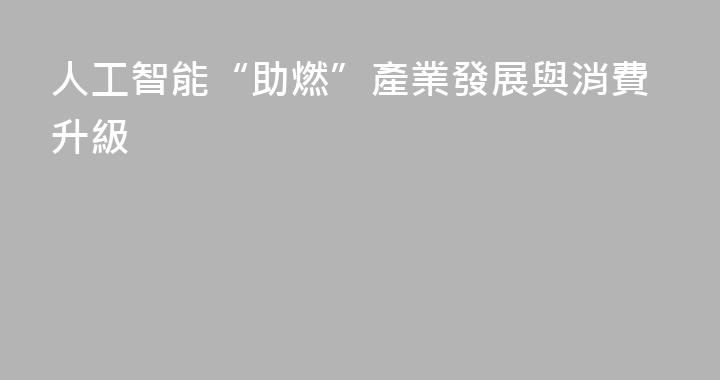 人工智能“助燃”產業發展與消費升級