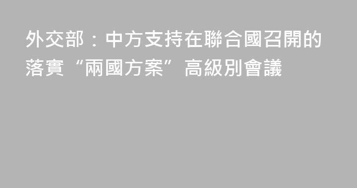 外交部：中方支持在聯合國召開的落實“兩國方案”高級別會議