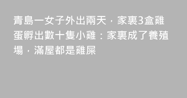 青島一女子外出兩天，家裏3盒雞蛋孵出數十隻小雞：家裏成了養殖場，滿屋都是雞屎