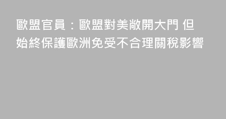 歐盟官員：歐盟對美敞開大門 但始終保護歐洲免受不合理關稅影響