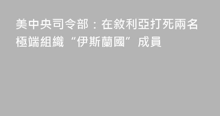 美中央司令部：在敘利亞打死兩名極端組織“伊斯蘭國”成員