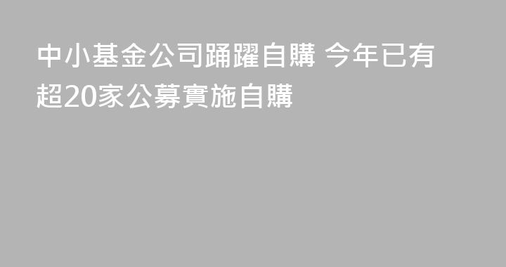 中小基金公司踊躍自購 今年已有超20家公募實施自購