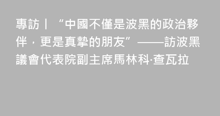 專訪丨“中國不僅是波黑的政治夥伴，更是真摯的朋友”——訪波黑議會代表院副主席馬林科·查瓦拉