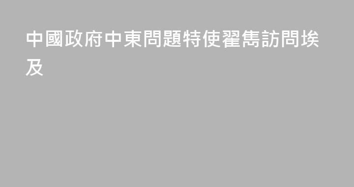 中國政府中東問題特使翟雋訪問埃及