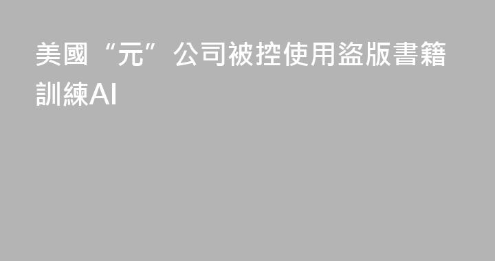 美國“元”公司被控使用盜版書籍訓練AI