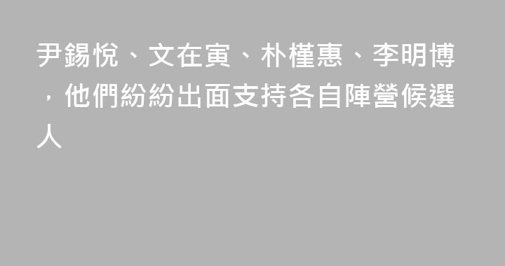尹錫悅、文在寅、朴槿惠、李明博，他們紛紛出面支持各自陣營候選人