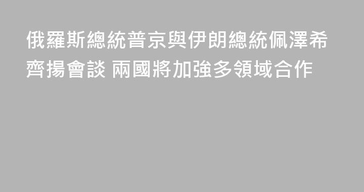 俄羅斯總統普京與伊朗總統佩澤希齊揚會談 兩國將加強多領域合作