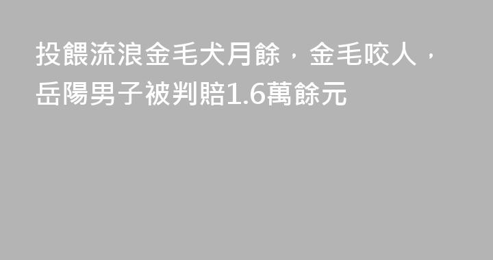 投餵流浪金毛犬月餘，金毛咬人，岳陽男子被判賠1.6萬餘元