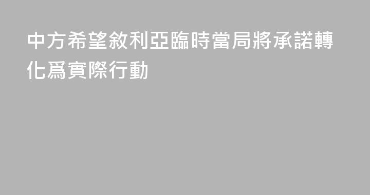 中方希望敘利亞臨時當局將承諾轉化爲實際行動