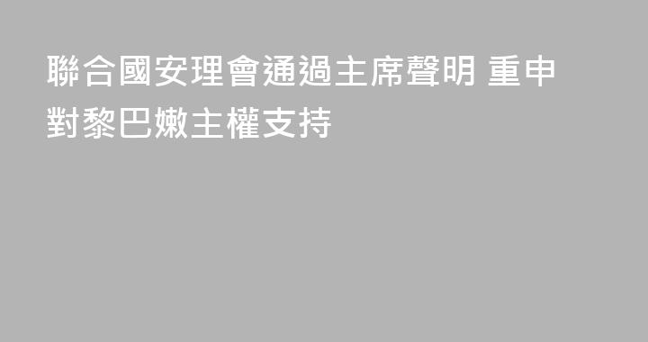 聯合國安理會通過主席聲明 重申對黎巴嫩主權支持