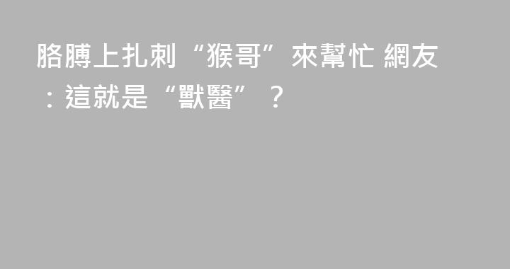 胳膊上扎刺“猴哥”來幫忙 網友：這就是“獸醫”？
