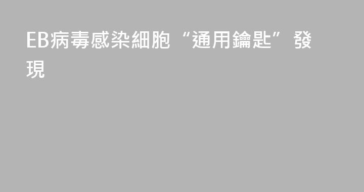 EB病毒感染細胞“通用鑰匙”發現