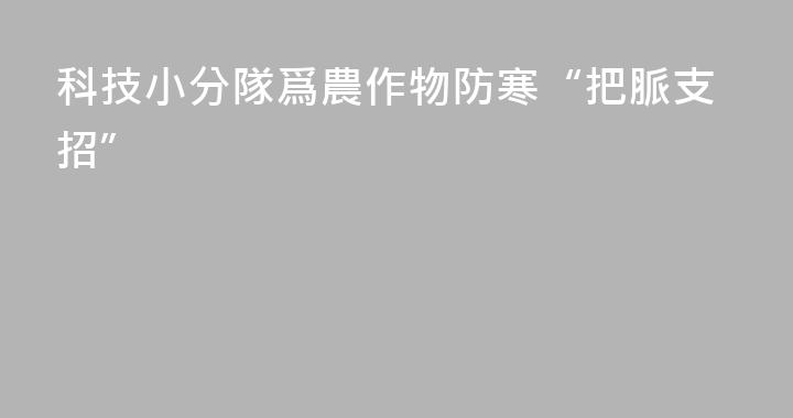 科技小分隊爲農作物防寒“把脈支招”