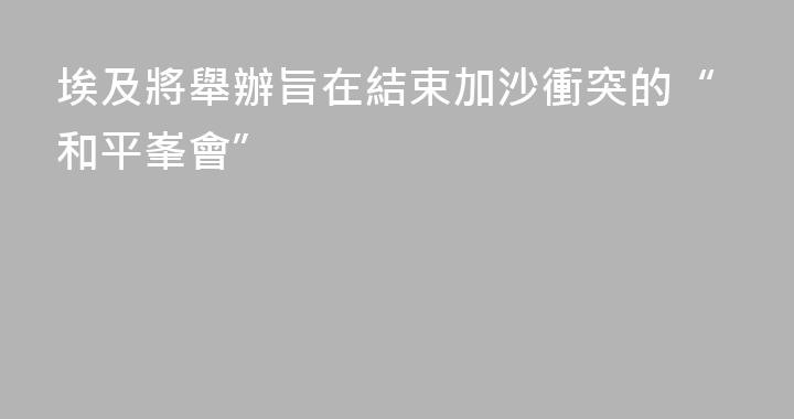 埃及將舉辦旨在結束加沙衝突的“和平峯會”