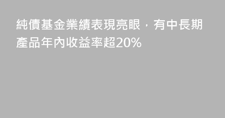 純債基金業績表現亮眼，有中長期產品年內收益率超20%