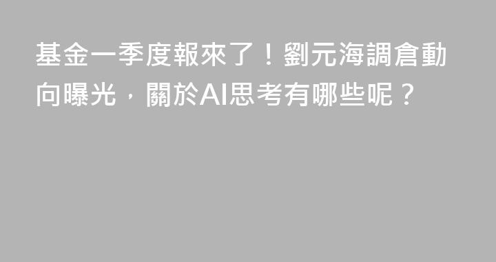 基金一季度報來了！劉元海調倉動向曝光，關於AI思考有哪些呢？