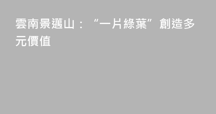 雲南景邁山：“一片綠葉”創造多元價值