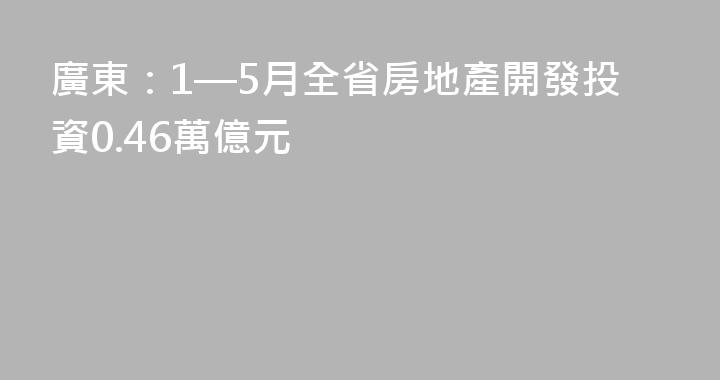 廣東：1—5月全省房地產開發投資0.46萬億元