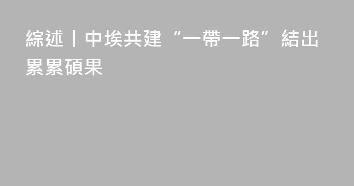 綜述丨中埃共建“一帶一路”結出累累碩果