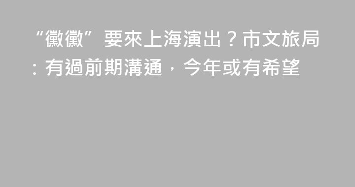 “黴黴”要來上海演出？市文旅局：有過前期溝通，今年或有希望