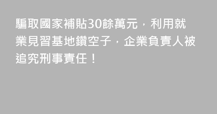 騙取國家補貼30餘萬元，利用就業見習基地鑽空子，企業負責人被追究刑事責任！