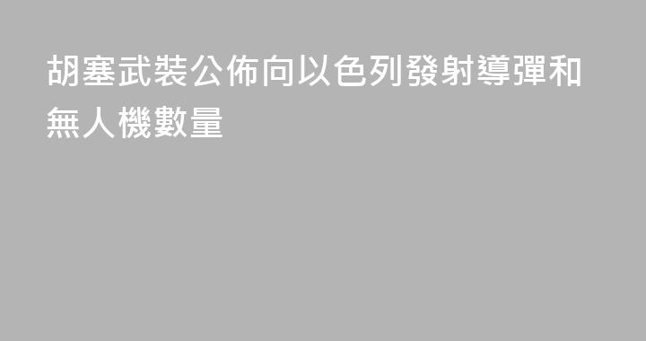 胡塞武裝公佈向以色列發射導彈和無人機數量