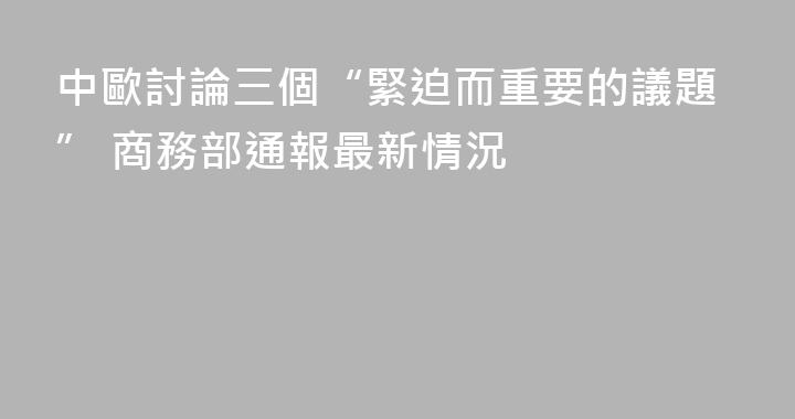 中歐討論三個“緊迫而重要的議題” 商務部通報最新情況
