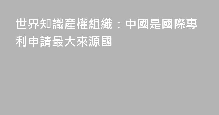 世界知識產權組織：中國是國際專利申請最大來源國