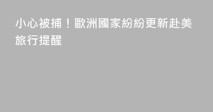 小心被捕！歐洲國家紛紛更新赴美旅行提醒