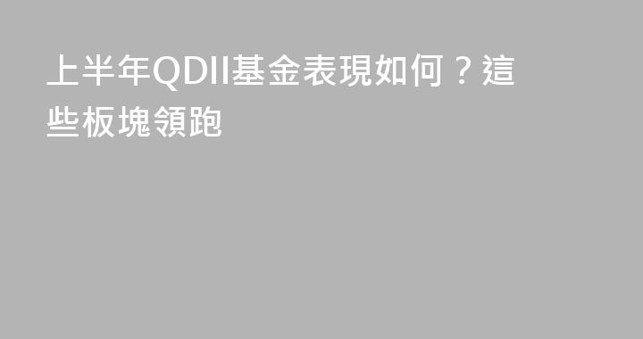 上半年QDII基金表現如何？這些板塊領跑