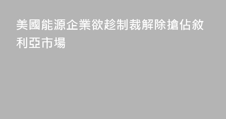 美國能源企業欲趁制裁解除搶佔敘利亞市場