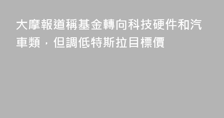 大摩報道稱基金轉向科技硬件和汽車類，但調低特斯拉目標價