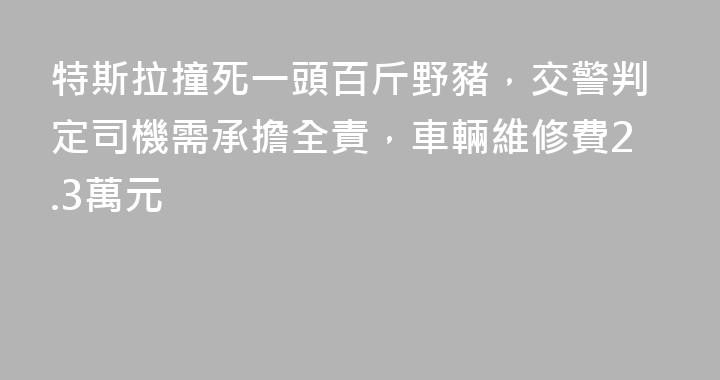 特斯拉撞死一頭百斤野豬，交警判定司機需承擔全責，車輛維修費2.3萬元