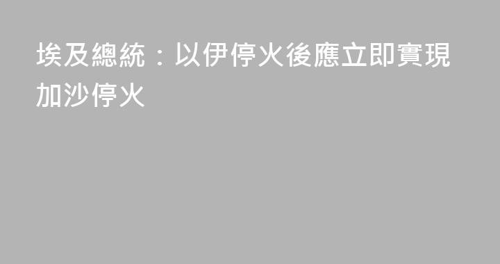 埃及總統：以伊停火後應立即實現加沙停火