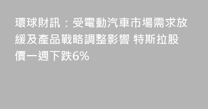 環球財訊：受電動汽車市場需求放緩及產品戰略調整影響 特斯拉股價一週下跌6%
