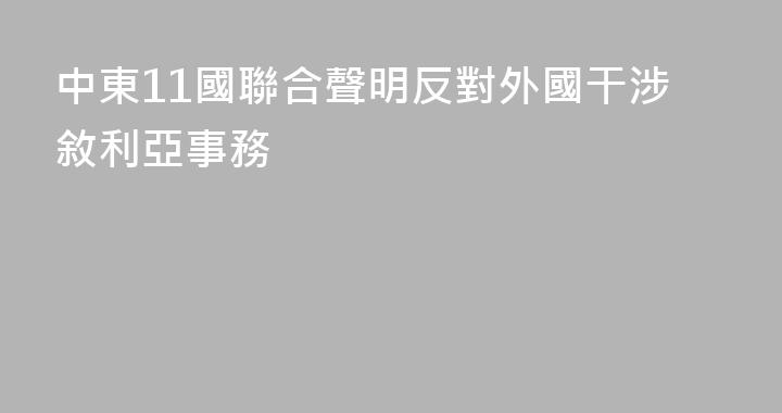 中東11國聯合聲明反對外國干涉敘利亞事務