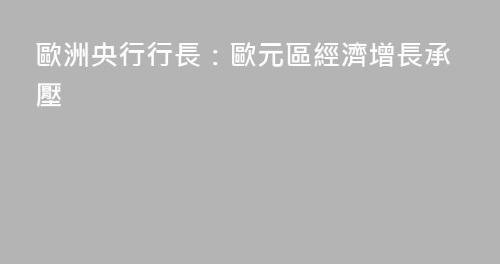 歐洲央行行長：歐元區經濟增長承壓