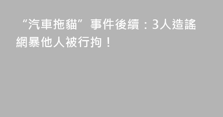 “汽車拖貓”事件後續：3人造謠網暴他人被行拘！