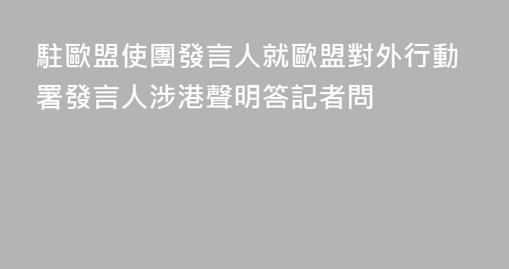 駐歐盟使團發言人就歐盟對外行動署發言人涉港聲明答記者問
