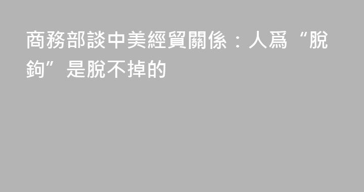 商務部談中美經貿關係：人爲“脫鉤”是脫不掉的